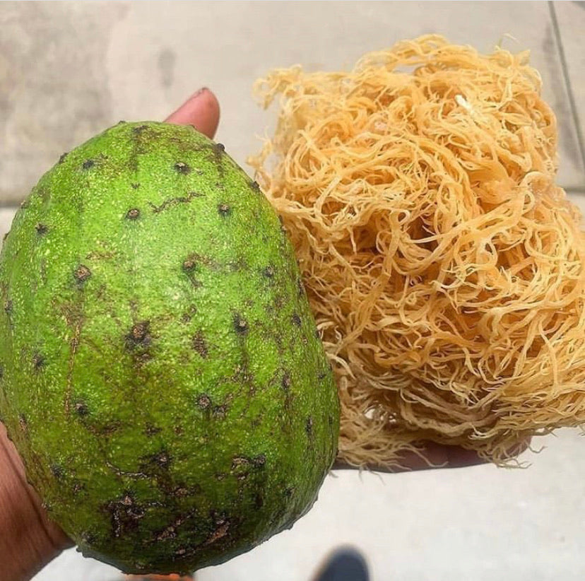 Seamoss Gel (soursop infused)